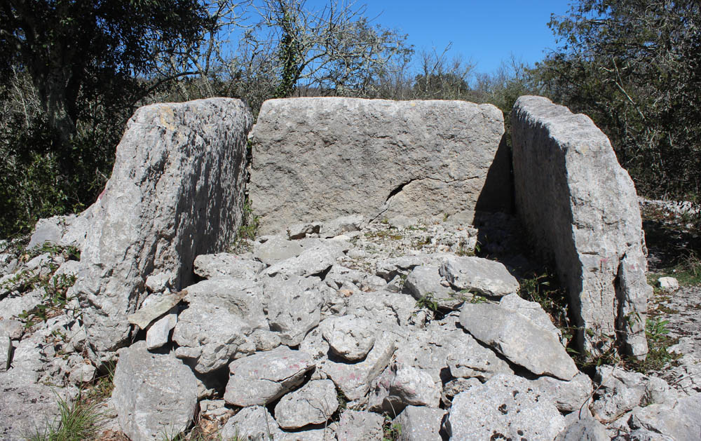 Click for the gallery page to add comments and vote (PID:131932) Dolmen du Ranc de Figère (08)