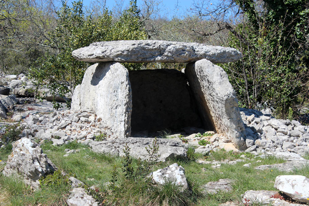 Click for the gallery page to add comments and vote (PID:131890) Dolmen du Ranc de Figère (09)