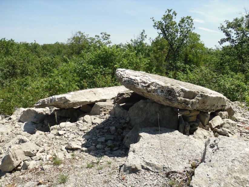 Click for the gallery page to add comments and vote (PID:145436) Dolmen du Bois des Buissières (09)