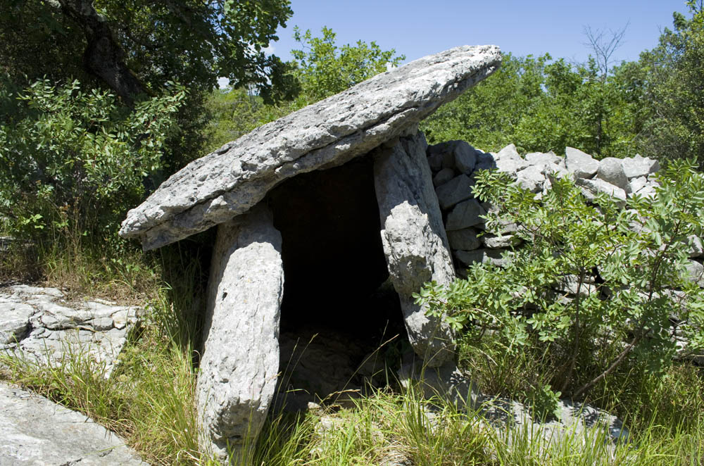 Dolmen du Ranc de Figère (07)
