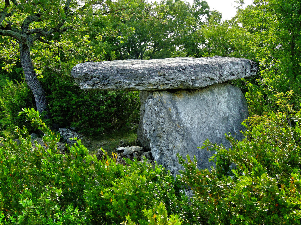 Click for the gallery page to add comments and vote (PID:140407) Dolmen des Quatre Pierres 1