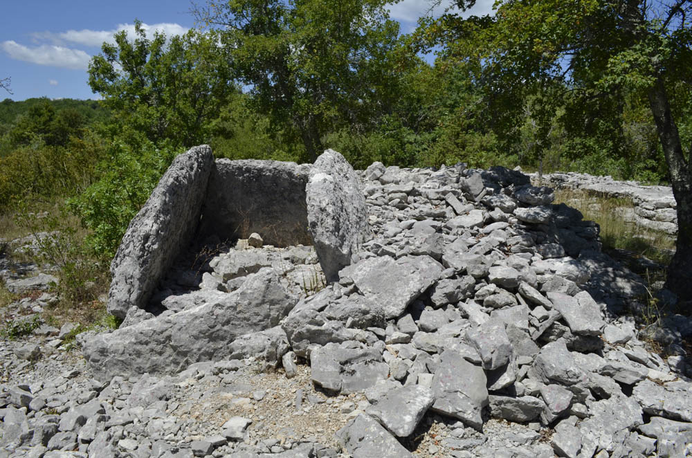 Dolmen du Ranc de Figère (06)