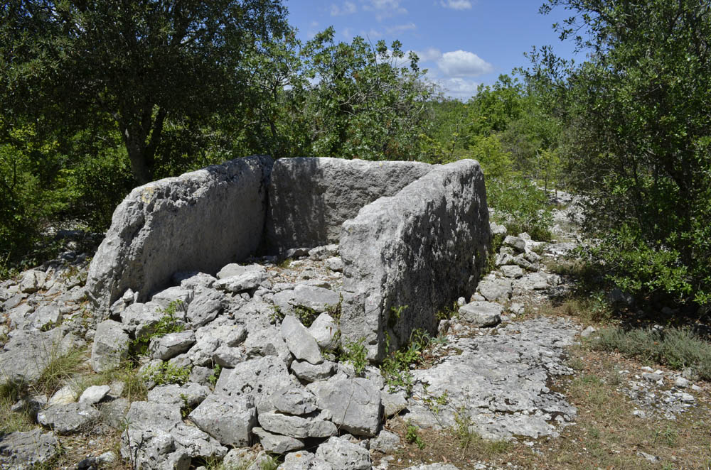Dolmen du Ranc de Figère (08)
