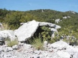 Dolmen de Bannelle submitted by ocdolmen