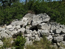 Dolmen de Flandrin (08)