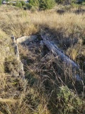 Jastres Stonechest