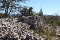 Dolmen du Ranc de Figère (03)