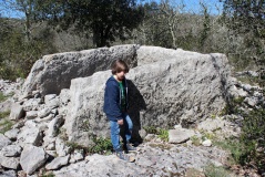 Dolmen du Ranc de Figère (08)