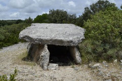 Champ Vermeil Dolmen
