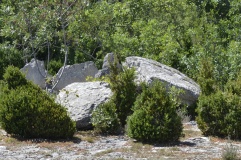 Dolmen du Ranc de Figère (01)