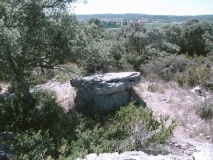 Dolmen de Gélis 1