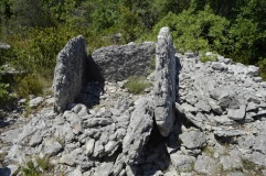 Dolmen du Ranc de Figère (03)