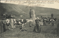 Menhir de Pierrefiche (Simandre)