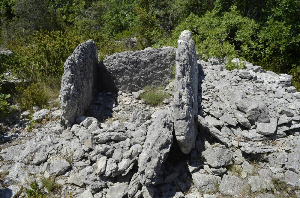 Dolmen du Ranc de Figère (03)