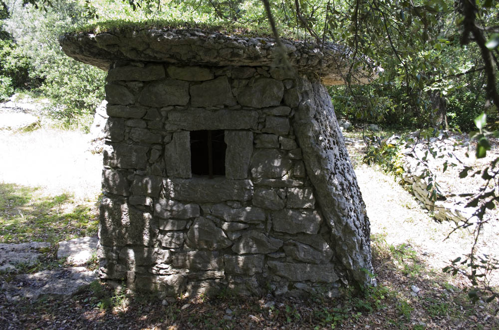 Dolmen Cabane de Faveyrolles