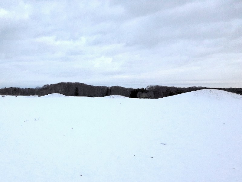 Click for the gallery page to add comments and vote (PID:193578) Gräberfeld am Burrenhof