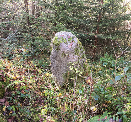 Der Stein Dossenbach