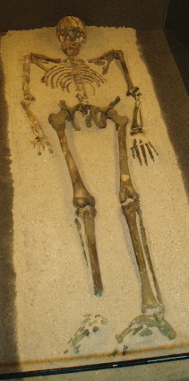 Kelten Museum.

In Hochdorf, near Stuttgart. This museum features finds from  the nearby 600 BCE untouched tumulus including Celtic chiftain's body, War Chariot, tools, drinking vessels and bronze couch.
Skeleton of Celtic Chiftain from 600 BCE. He was found to have died in his early 40s from natural causes, but was otherwise healthy.
His lavish grave goods would have made him the equivalent o