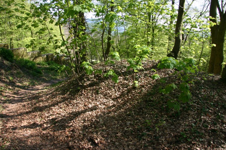 Heiligenberg-Zentrum Keltischer Macht