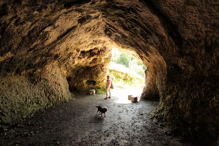 Vogelherd Höhle