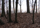 Balzfeld burial mounds - PID:110405