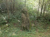 Hunnenstein (Dossenbach) - PID:183462