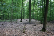Schlechberg Grabhügelgruppe - PID:47038