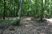 Schlechberg Grabhügelgruppe - PID:47039
