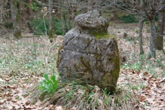Hechelhart Wald Grabhügelfeld