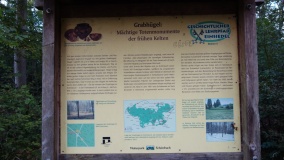 Rübgarten Grabhügelgruppe