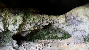 Göpfelsteinhöhle - PID:278009 Göpfelsteinhöhle - PID:278009