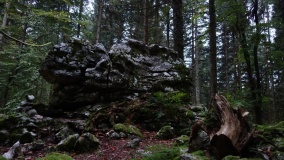 Götzenaltar - PID:277984 Götzenaltar - PID:277984
