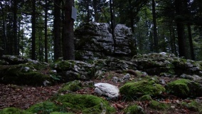 Götzenaltar - PID:277985 Götzenaltar - PID:277985