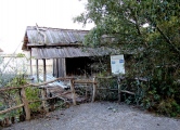Unteruhldingen Crannog - PID:85045