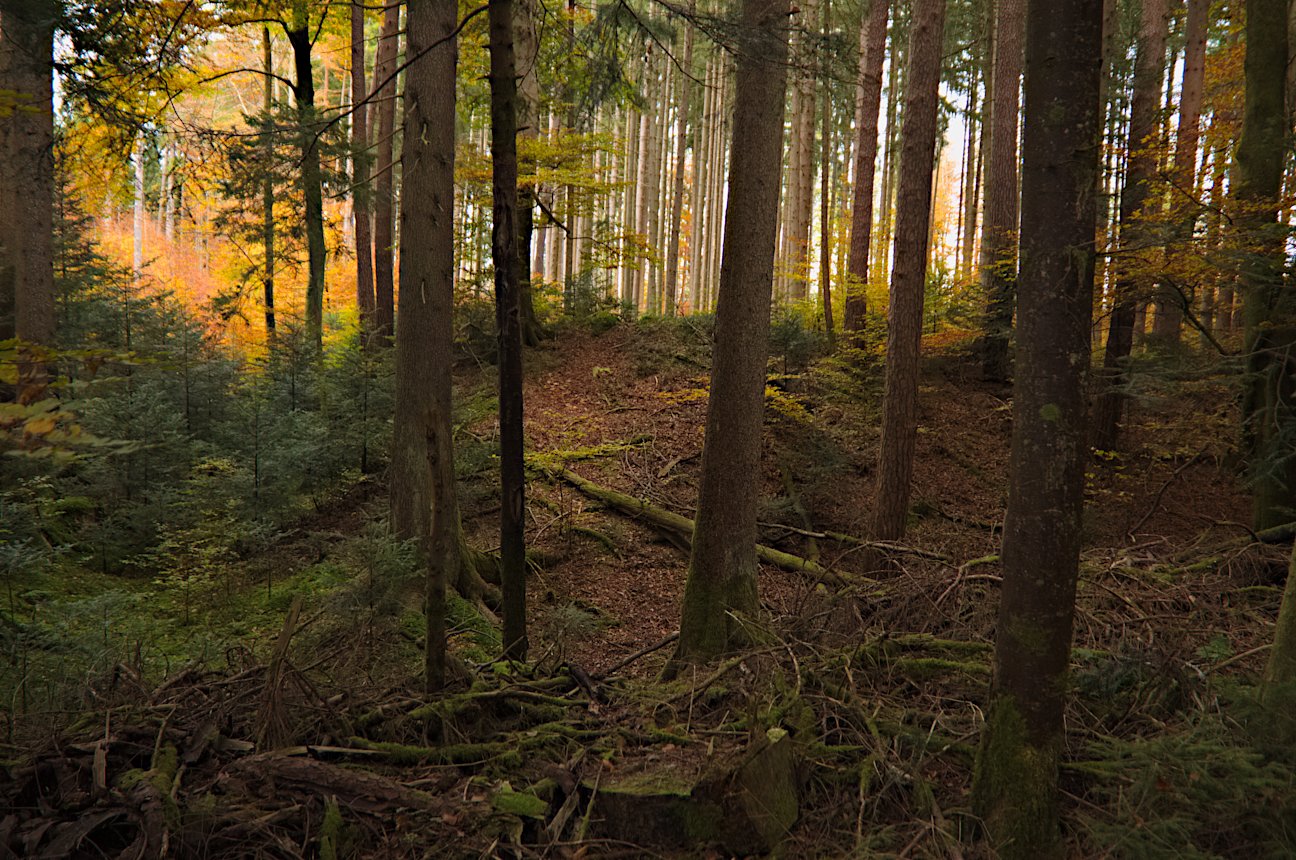 Click for the gallery page to add comments and vote (PID:234925) Viereckschanze Deisenhofen (I)