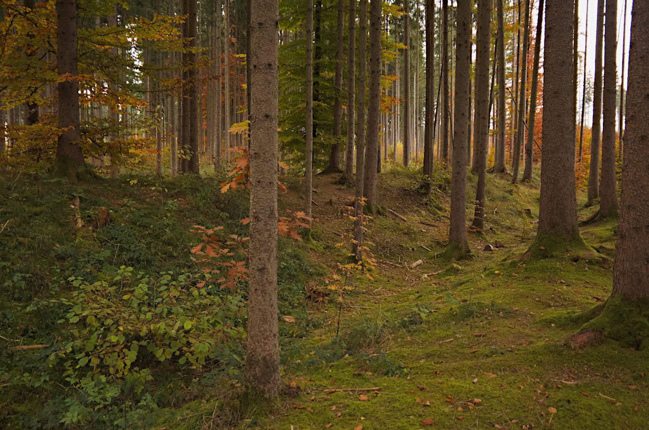 Click for the gallery page to add comments and vote (PID:234921) Viereckschanze Deisenhofen (II)