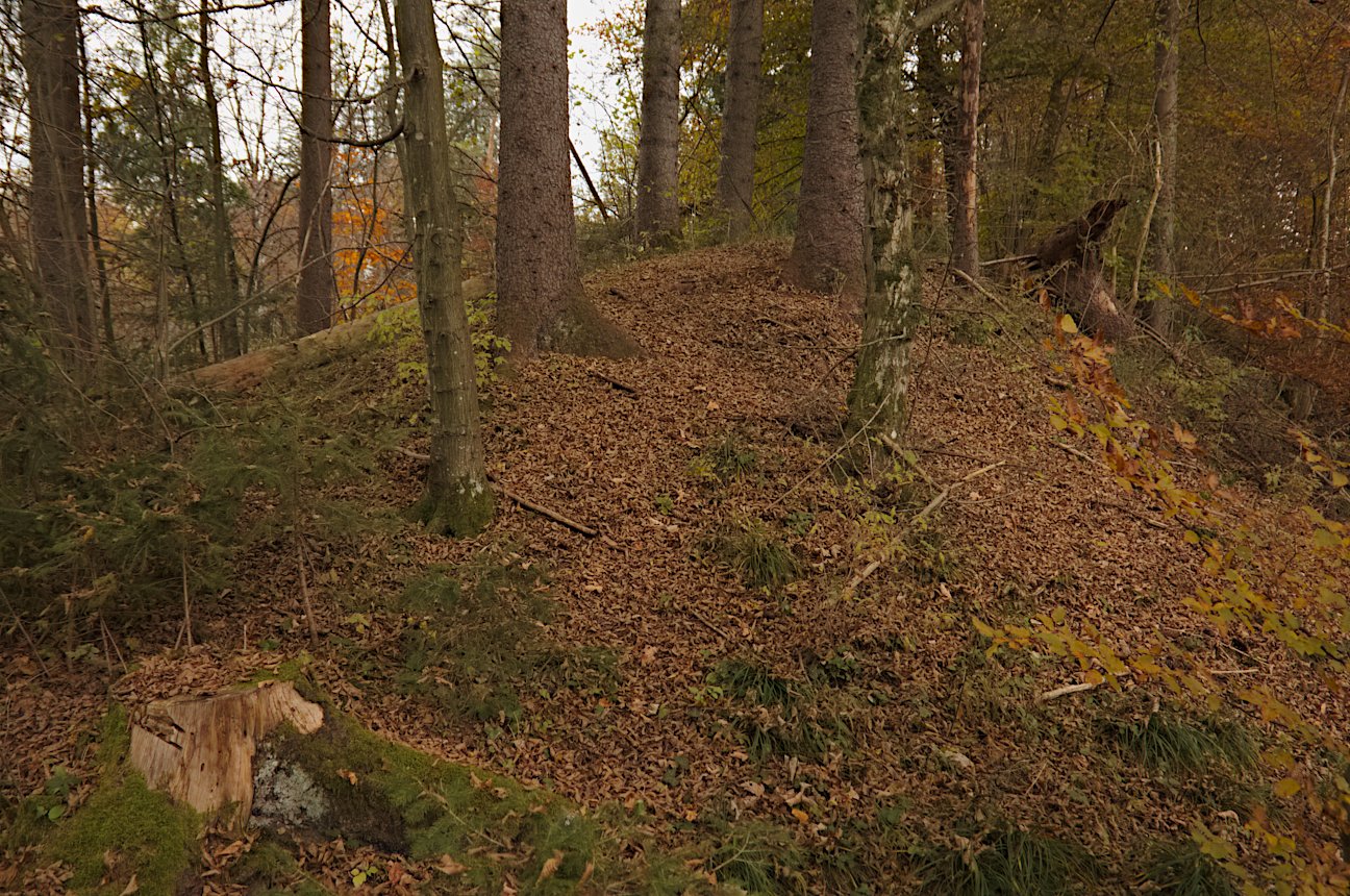 Click for the gallery page to add comments and vote (PID:234910) Doppelviereckschanze Deisenhofen