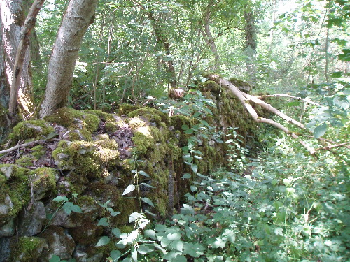 Remains of Hillfort near Rothenburg ob der Tauber in Norther Bavaria.  This wall runs roughly East/West and abuts a modern wall holding up a hiking trail running North/South.There is only a 5 meter stretch visible, more traces can not be discerned on account of excessive thistles.Nearby there is a large megalithic stone commemorating the Iron Chancelor Otto von Bismark which is definatately not an