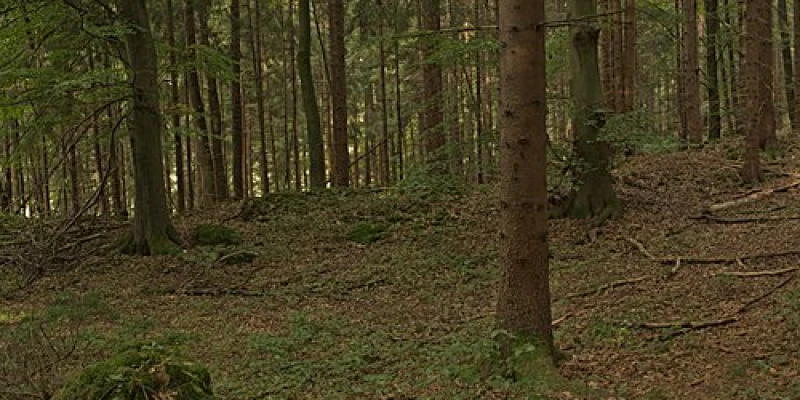 Frühkeltische Siedlung Burkartshof