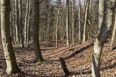 Dengelstein