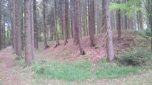 Viereckschanze Poign - PID:211261