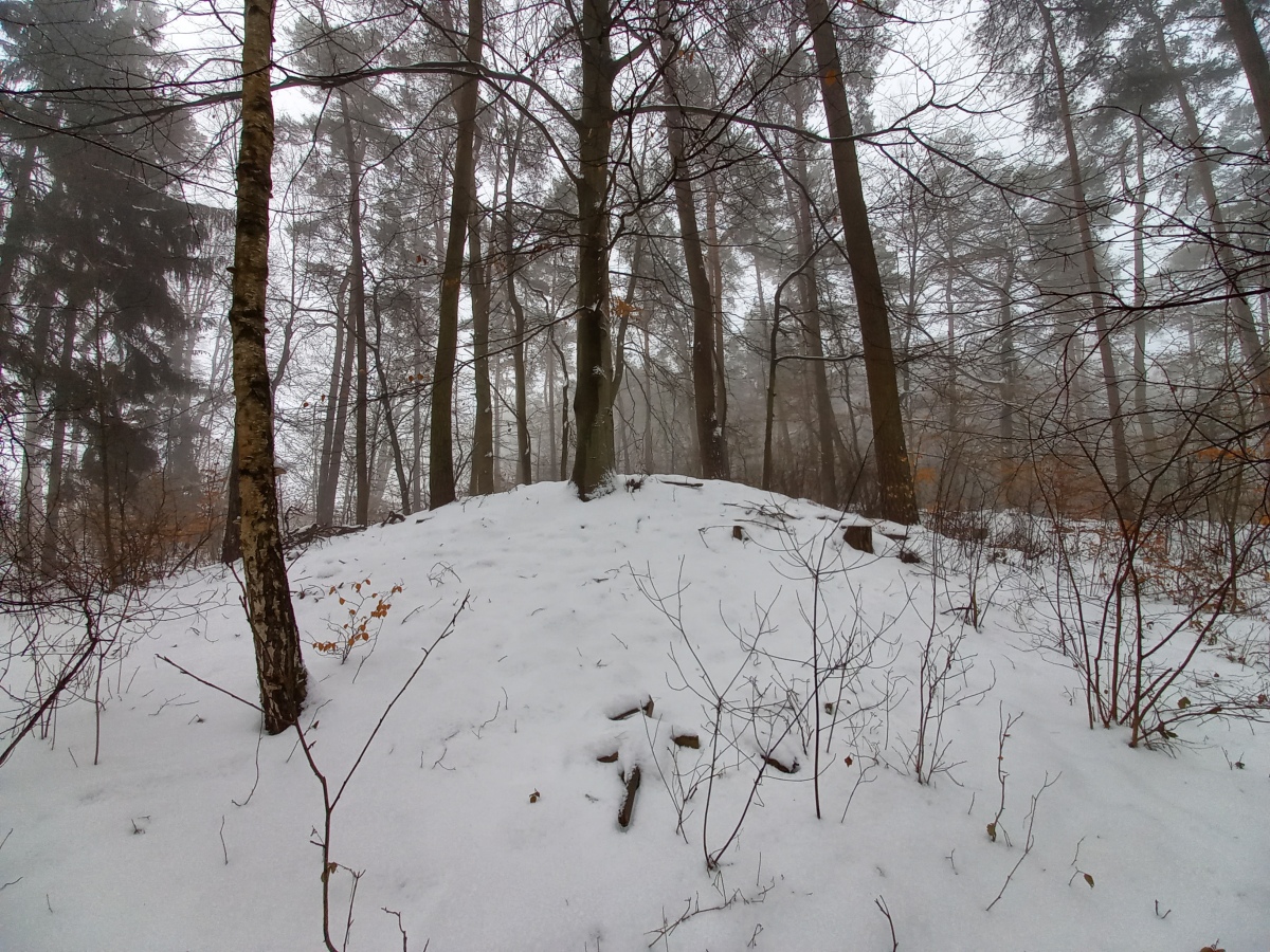 Click for the gallery page to add comments and vote (PID:223313) Hügelgrab Petznick 22405