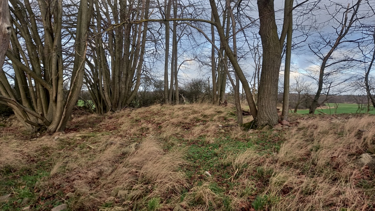 Click for the gallery page to add comments and vote (PID:286064) Hügelgrab Steinhöfel 1