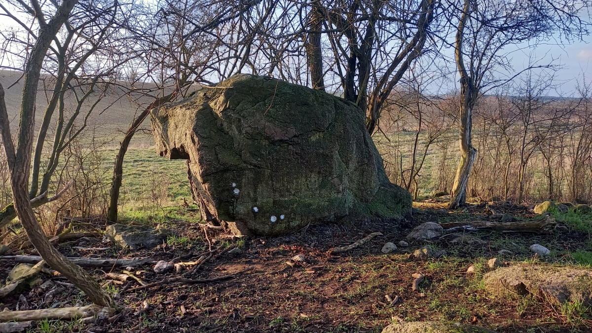 Click for the gallery page to add comments and vote (PID:286363) Schälchenstein Stegelitz 3