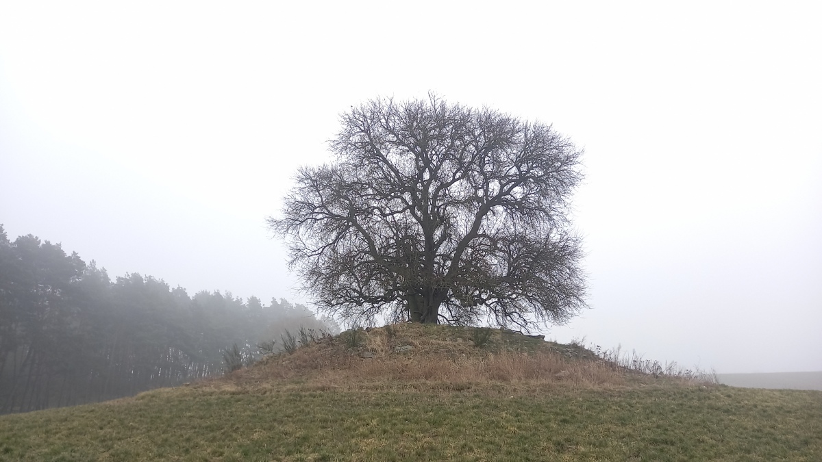 Click for the gallery page to add comments and vote (PID:286791) Hügelgrab Berkenlatten
