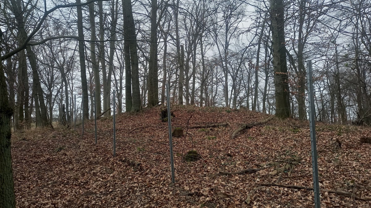 Click for the gallery page to add comments and vote (PID:287344) Hügelgrab Schlepkow 1