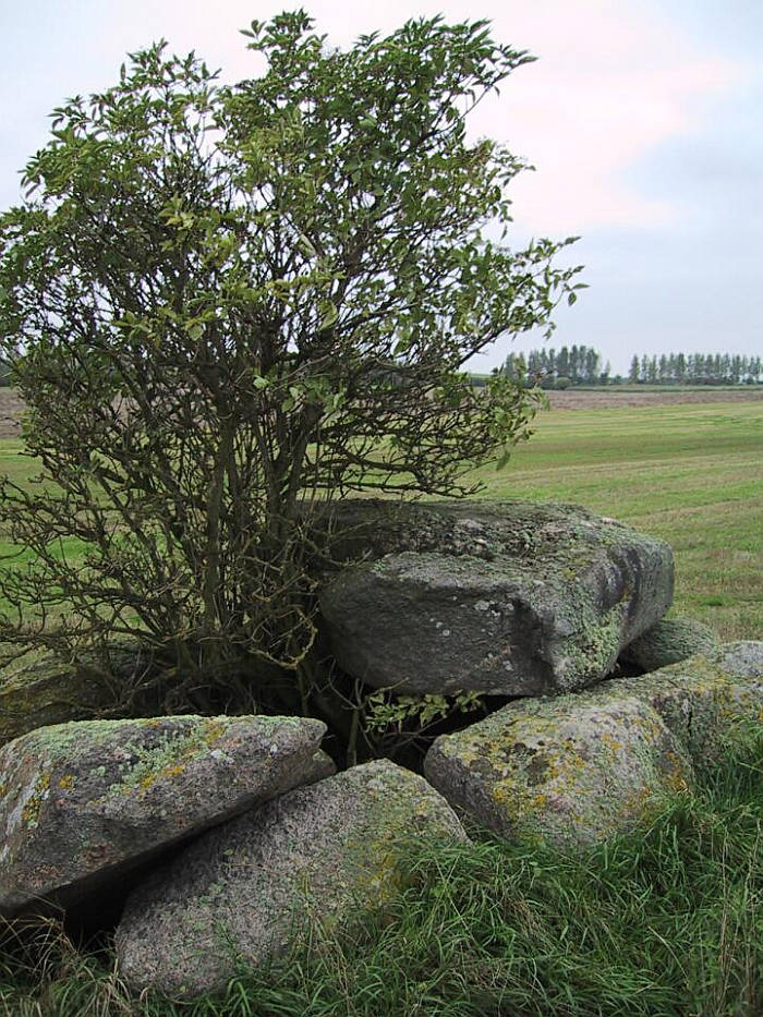 Click for the gallery page to add comments and vote (PID:21938) Schwaneberg Dolmen