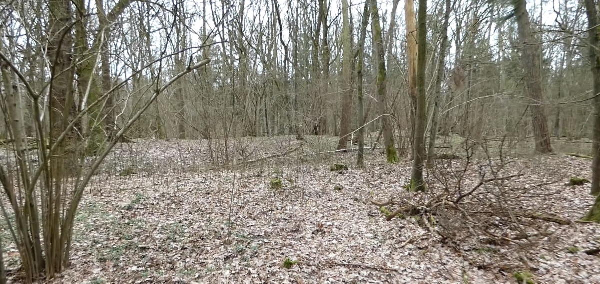 Altlandsberg Slawenburg
