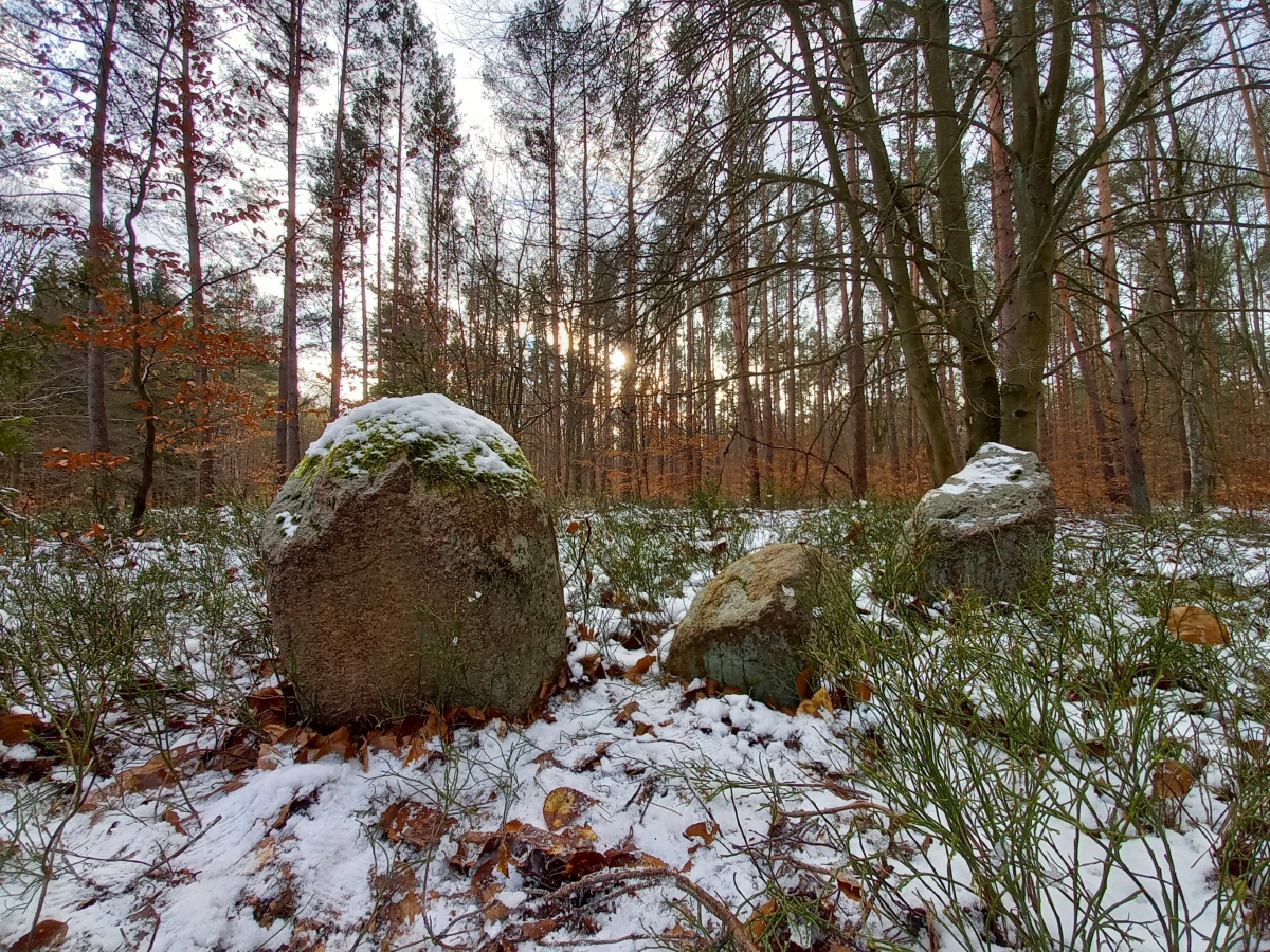 Click for the gallery page to add comments and vote (PID:221756) Bärens Kirchhof