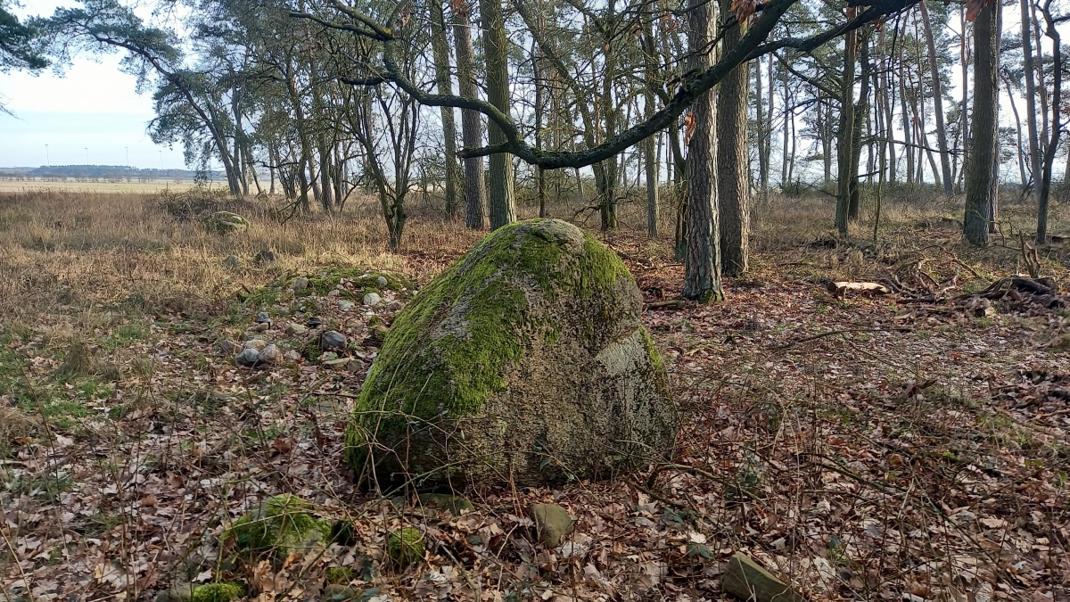 Click for the gallery page to add comments and vote (PID:268270) Schälchenstein Bagemühl